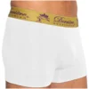 2022 Derriere Equestrian Mens Performance Seamless Shorty Underwear DEPSSM14 - White Colour White 1 2022 Derriere Equestrian Mens Performance Seamless Shorty Underwear DEPSSM14 - White Colour White -Vogemate Sales Store Equestrian20Mens20Performance20Seamless20Shorty20Underwear20DEPSSM1420 20White.700x700