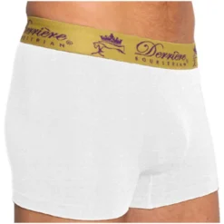 2022 Derriere Equestrian Mens Performance Seamless Shorty Underwear DEPSSM14 - White Colour White